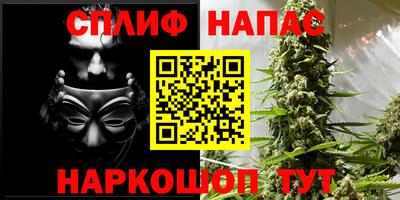 стафф Гатчина