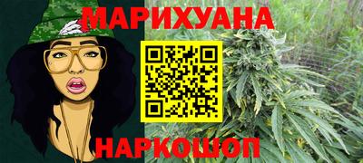 стафф Гатчина