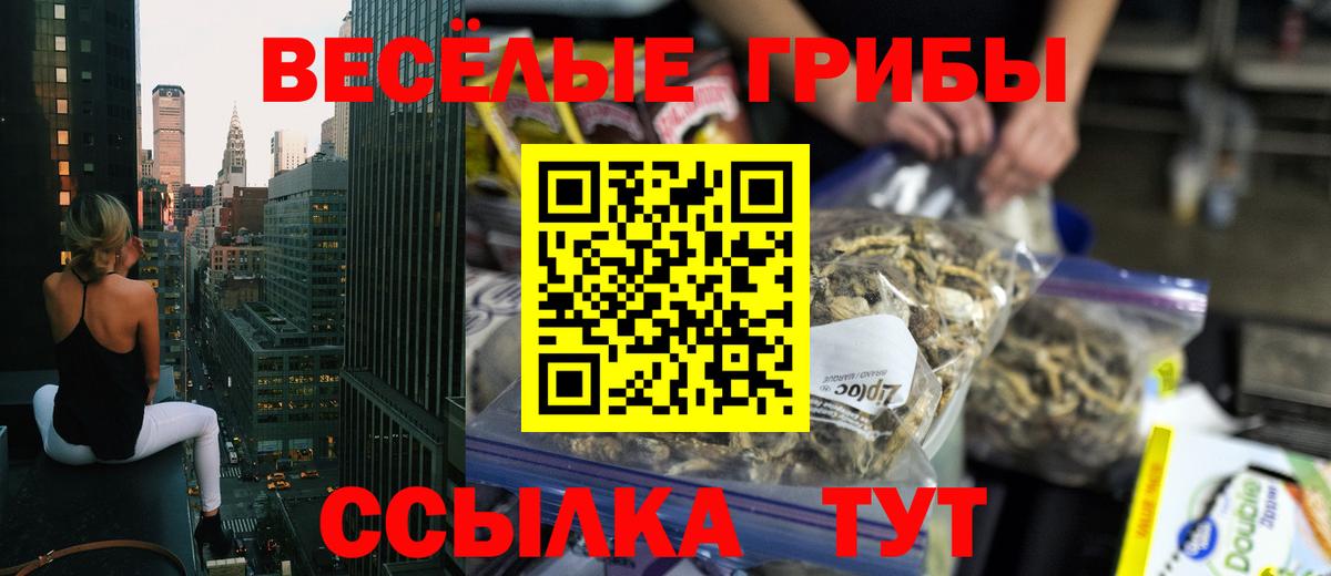Мариинск  Галлюциногенные грибы Cubensis  Вход с VPN 
