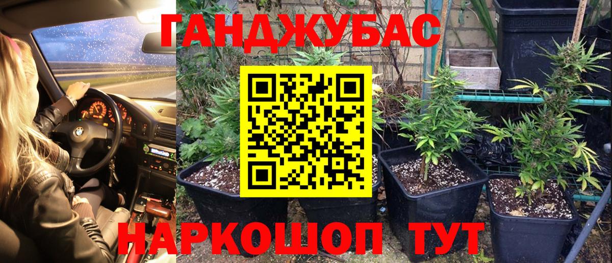 МАРИХУАНА OG Kush Мариинск